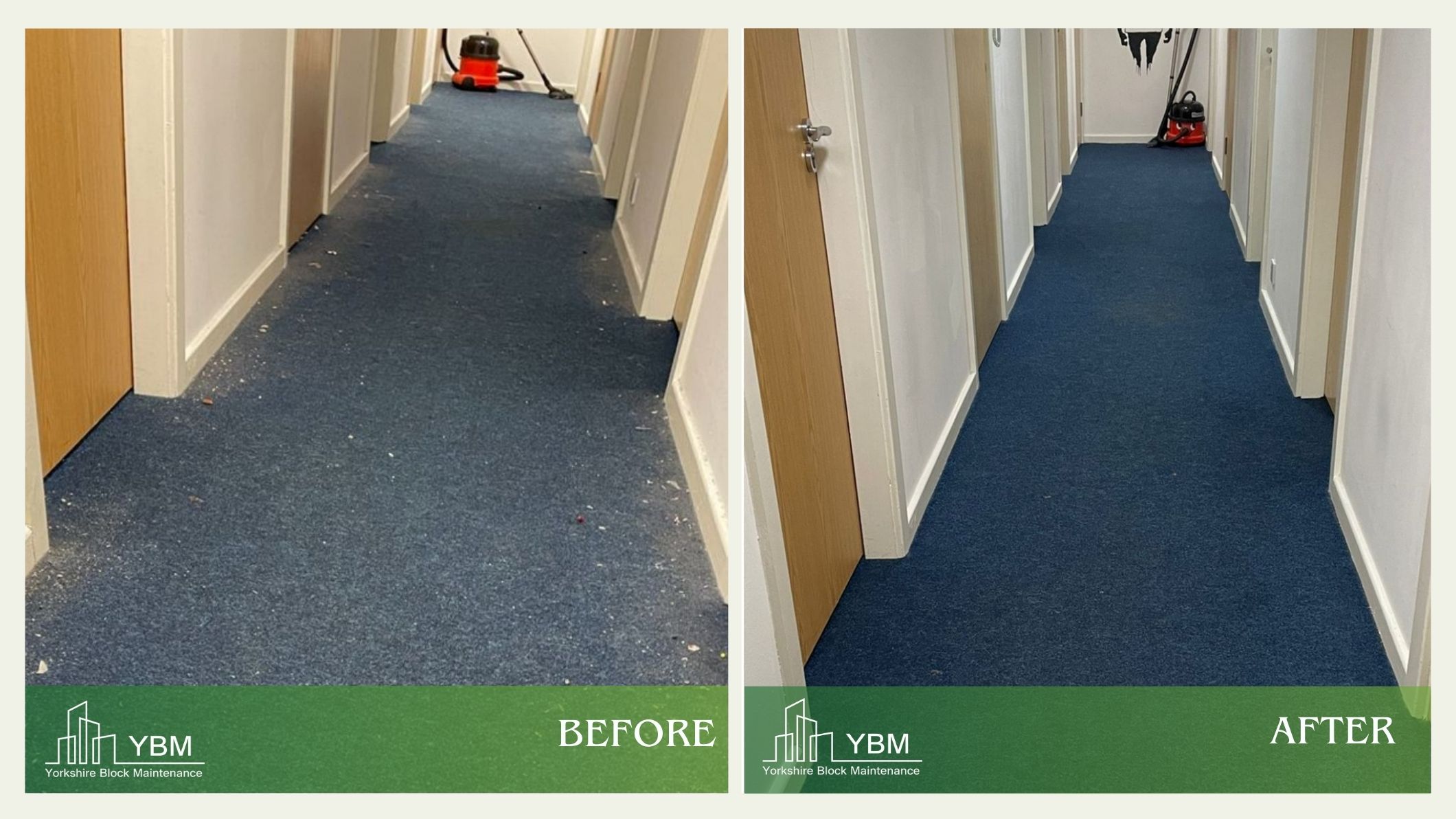 Carpet Cleaning Before and After
