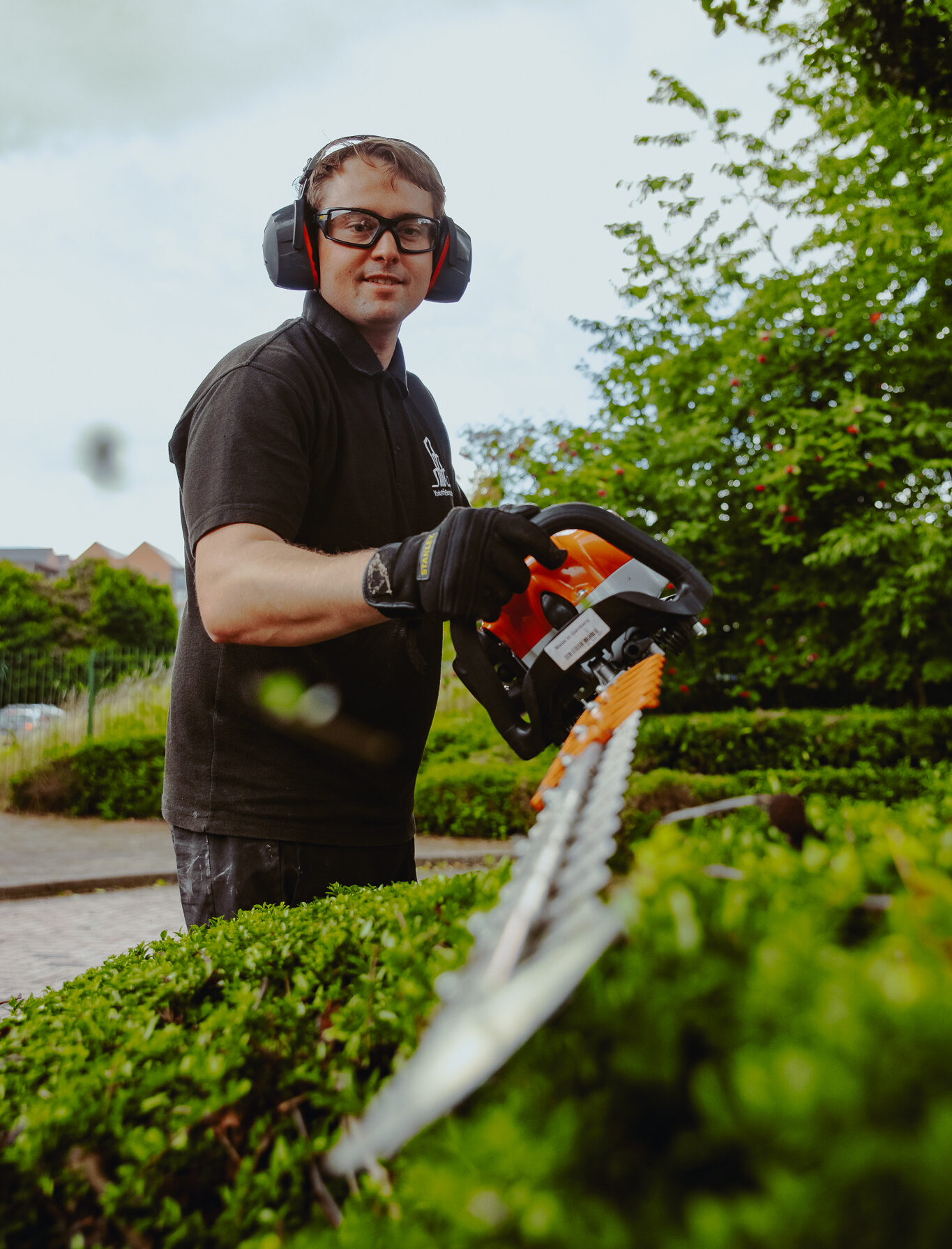 lawn trimming