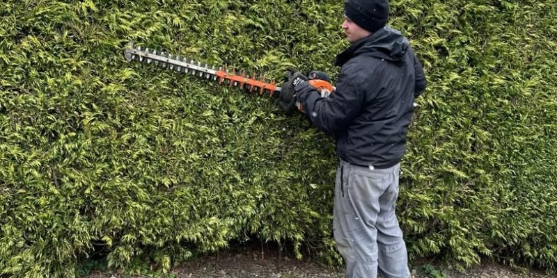 grass trimming