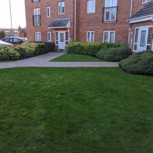 ground maintenance completed in leeds
